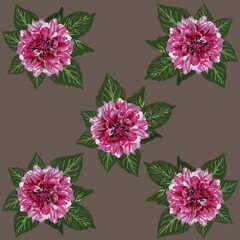 flower, pink, nature, plant, peony, garden, blossom, bloom, petal, flowers, isolated, leaf, red, flora, beauty, rose, spring, dahlia, summer