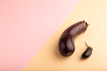 Two Eggplantsbig and small on pink and orange pastel paper, side view, copy space