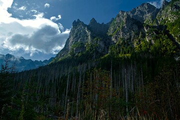 The Młynarz Massive, view from Bielovodska Dolina. Masyw Młynarza, widok z Doliny Białej Wody