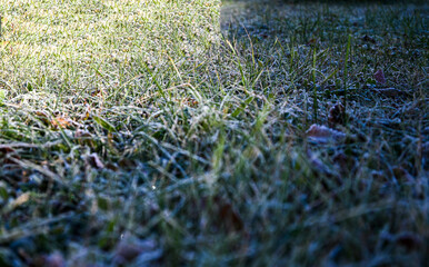 Close-up view of frozen grass blades covered in frost, glistening in the early morning sunlight