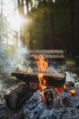 A campfire is being carefully lit in the center of a stunningly beautiful forest, surrounded by tall trees and accompanied by the serene and calming sounds of nature all around