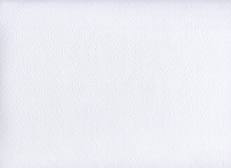 Watercolor texture paper. White rough background for design