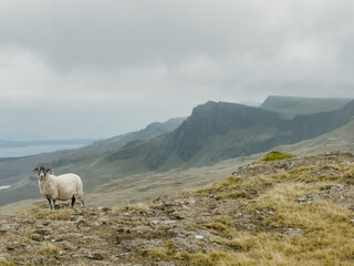 Fototapeta premium The Trotternish Ridge from near the Quiraing, Isle of Skye, Scotland