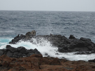 wybrzeże wysp kanaryjskich © Maciej