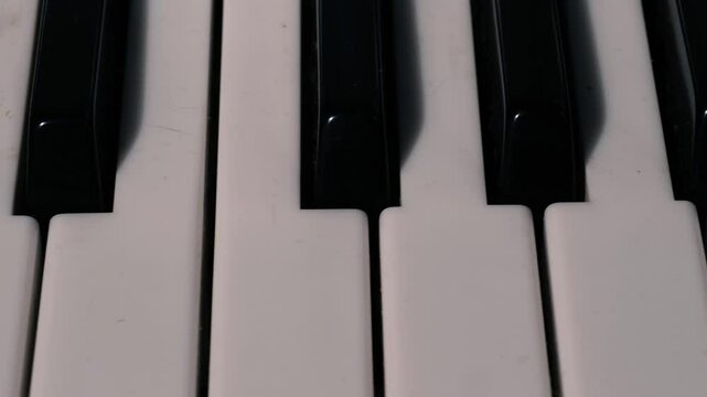 Piano keys musical instrument 