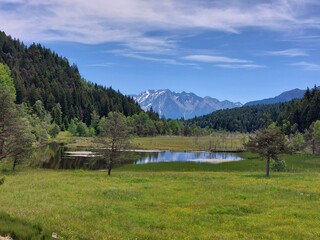 natura montagna