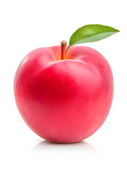 Red apple isolated on white background

