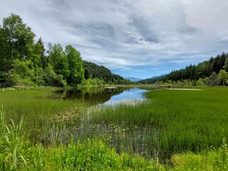 natura montagna