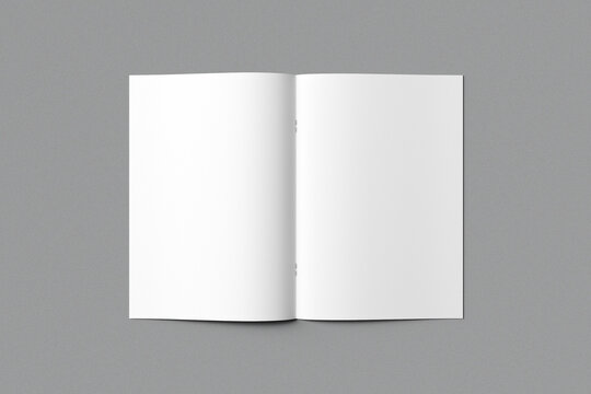 Brochure and Catalog Mockup