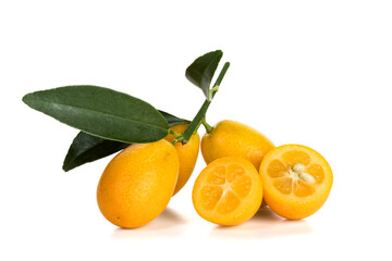 Kumquat fruits isolated on white