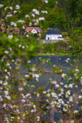 Kościół w Tropiu wiosną.