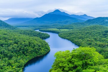 Forest and stream from a bird's eye view, and the importance of protecting nature