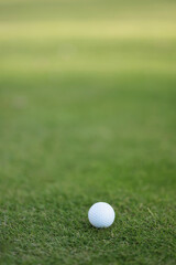Golf ball on fresh green grass of course concept