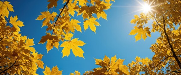 Obraz premium Frozen fallen leaves on wooden table top covered with thin layer of first snow