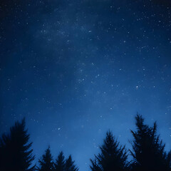 Fototapeta premium sky full of stars and silhouettes of trees below