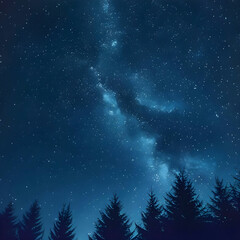 Fototapeta premium sky full of stars and silhouettes of trees below