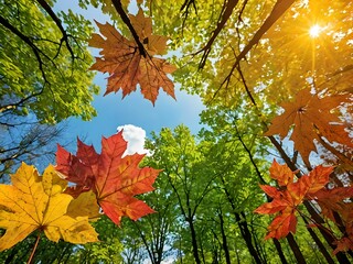 wallpaper that represents a simplified approach to natural elements like leaves. Giving a feeling of calm while being modern.