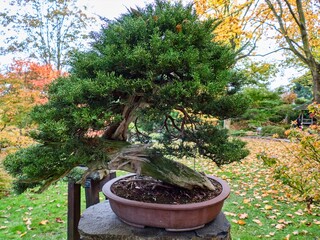 botanicak garden in autunm season