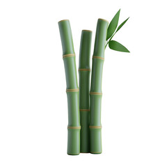 Obraz premium Serene Bamboo Stems Reaching Towards the Sky