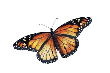 Fototapeta premium Butterfly flies by hand one line drawing on white isolated background. Vector illustration