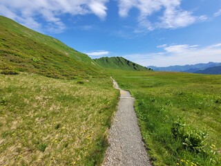 Naklejka premium Wanderweg unterhalb des Fellhorn in den Allgäuer Alpen bei Oberstdorf 