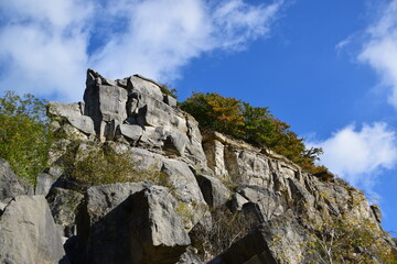 Kalkstein auf dem Thüster Berg (Weserbergland) 