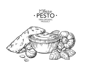 Pesto sauce ingredients vector drawing. Traditional italian pasta and salad dressing. Food sketch hand drawn sketch