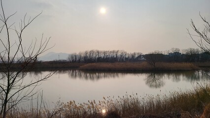 afternoon mist on the river