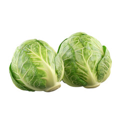 Obraz premium Lush Green Cabbage Heads on White Background