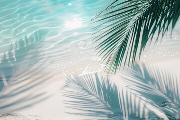 Abstract beach background with palm leaf shadow and sunlight.