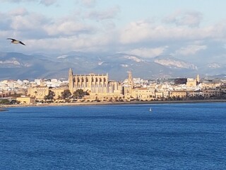 Cathedral of palma de mallorca