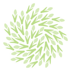 Tulips in trendy Monochrome green Circle background texture in soft shade. Spring greetings backdrop