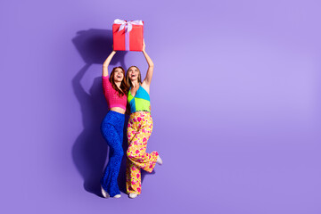 Full size photo of two nice gorgeous young girls cuddle hold desirable giftbox empty space isolated on violet color background