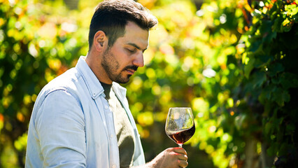 Winemaker examining red wine in glass at vineyard
