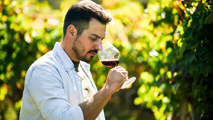 Winemaker smelling red wine in glass at vineyard