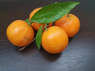 A beautiful branch of orange ripe tangerines lies on a rustic surface
