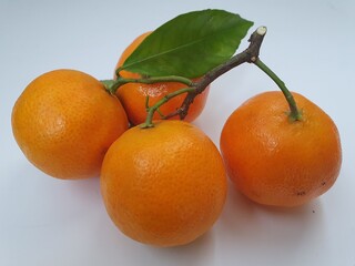 A beautiful branch of orange ripe tangerines lies on a white surface