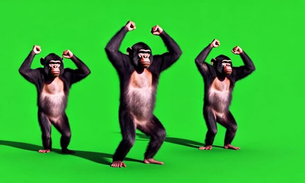 Three Dancing Monkeys on Green Screen Backgroud