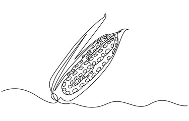 Maize ear in continuous line art drawing style. Corn cob black linear sketch isolated on white background, Continuous one line drawing of corn crop for farm. One line drawing illustration of corn