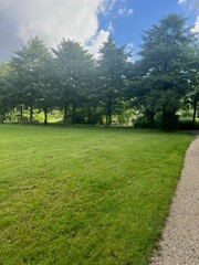 Picturesque view of park with trees in summer