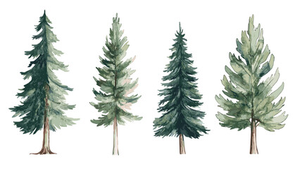 Fototapeta premium Pine tree watercolor Minimal style Side view set of graphics trees elements outline symbol for architecture and landscape design. Vector illustration transparent background