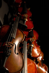 Shop of musical instruments, violins