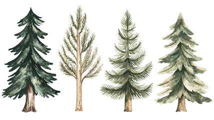 Pine tree watercolor Minimal style Side view set of graphics trees elements outline symbol for architecture and landscape design. Vector illustration transparent background