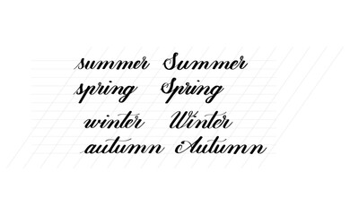 Hand written calligraphic style vector illustration of the four seasons of the year on white background