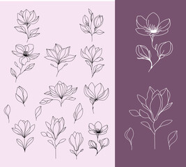 set of flowers. Minimalistic line art of magnolia flowers and leaves in black and white. Elegant floral outlines on a pastel background.