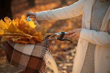 Cropped view of the stylish woman walking with bicycle and enjoying autumn weather in the park. Autumn forest concept