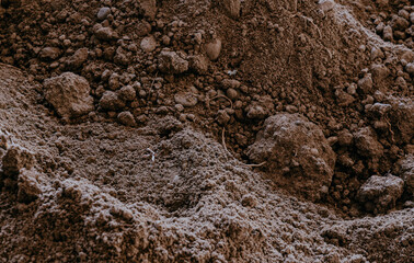 Top view of soil or sand texture background.