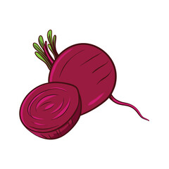Vector Cartoon Red Beetroot Illustration