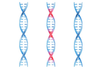 Medical and science concept DNA picture ,3d rendering