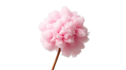 Fluffy Cotton Candy on Transparent Background (PNG).